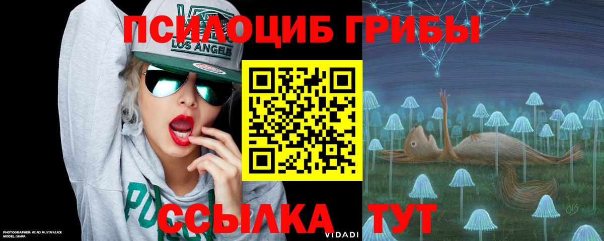 Псилоцибиновые грибы Magic Shrooms  Галлюциногенные грибы мицелий  Вход с VPN  как найти закладки  Владивосток 